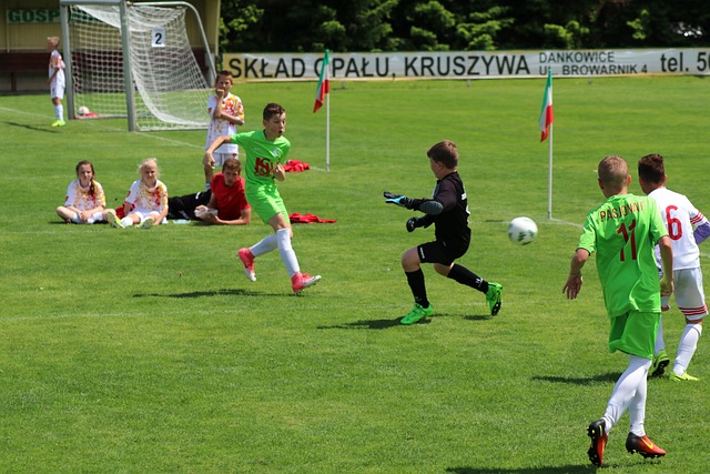 这一选择不 这一选择不