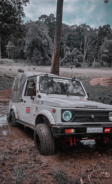 他是一位在 他是一位在