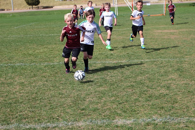 王两位选手 王两位选手