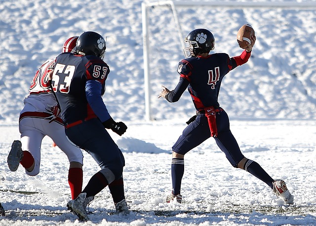 融入体系 融入体系