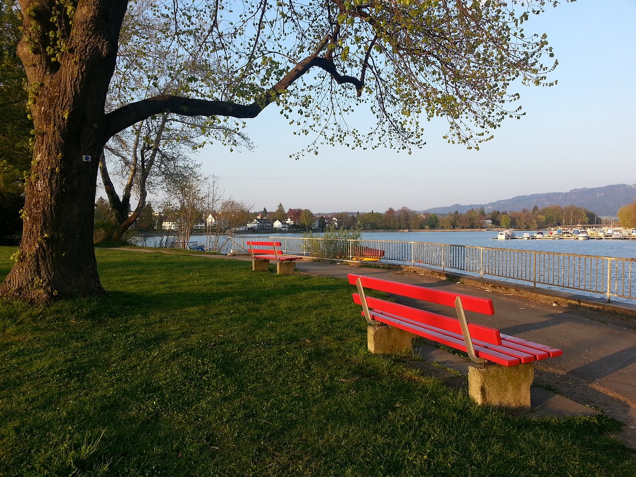 化学反应 化学反应