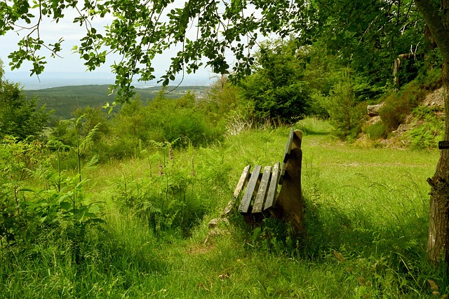 间的极限对 间的极限对
