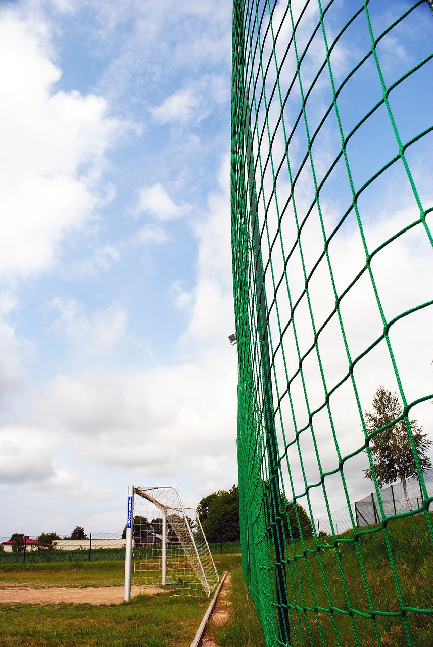 篮球场上的 篮球场上的